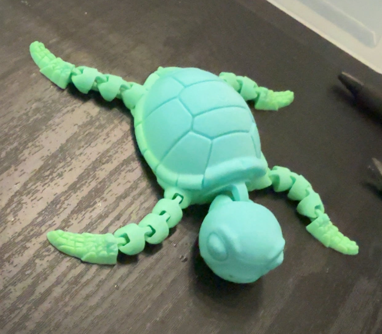 Articulating Turtle